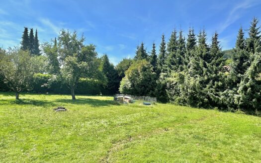 # Einfamilienhaus in Altmorschen
