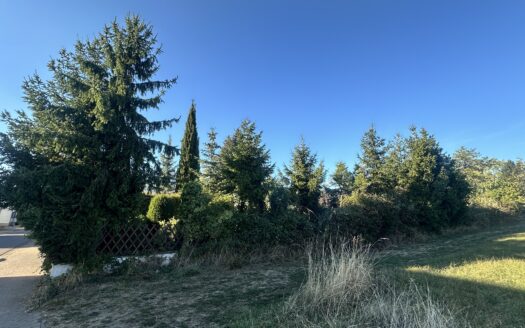 Großzügiger Bungalow mit geschütztem Garten. Viel Platz. Privatsphäre. Raum für persönliche Pläne